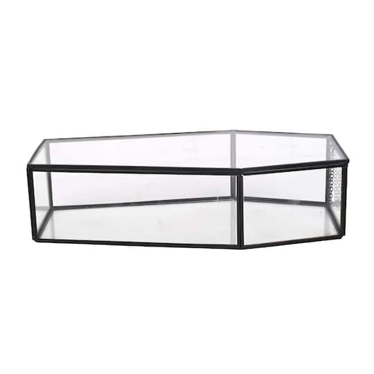 Clear Glass Terrarium Coffin with Lid by Ashland